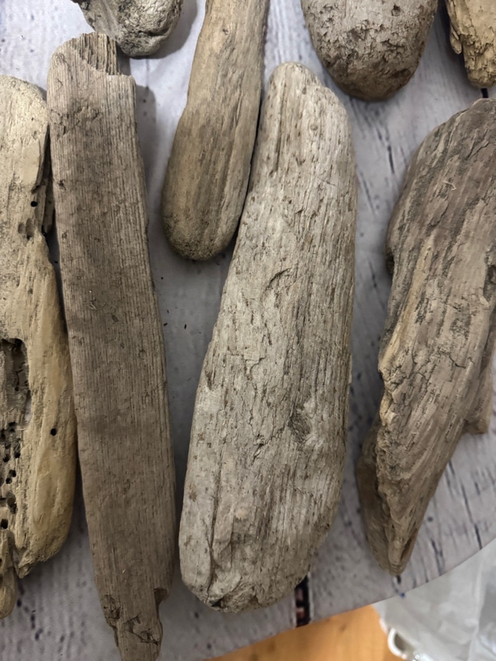 20 pieces PNW Pacific Ocean Grays Harbor Natural Driftwood Home Accent Bundle - Picture 6 of 17